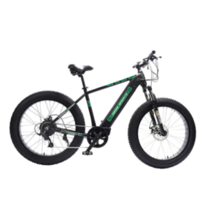 RBSM SPORTS Anaconda Electric Fat Tire Bike