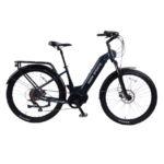 Rbsm Sport Boa Cruiser Bike
